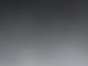 Panamanian Kitty's  2/16