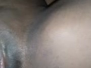 Panamanian Kitty's  4/16