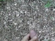 Guy Masturbating In a park