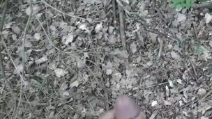 Guy Masturbating In a park
