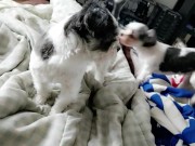 Shower Blowjob Show! Sexy Satyrday - June 24th 2017 16/16