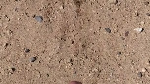Pissing outside