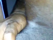 Fucking around - Screenshot 5 of 16 - Sucking Dick