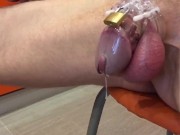 Forbidden pleasure - Screenshot 11 of 16 - HD