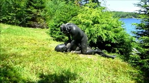 predador orca subjuga seu inimigo do lado de fora