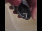 Hot Octopus Orgasm