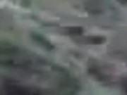 Peeing on Roadside in Public