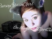 Little kitten petpley 8/16