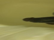 Horny in the shower