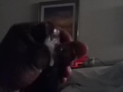 Jack off  - Screenshot 6 of 16 - Cumshot