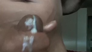Swallow