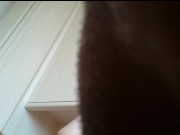 Der Orgasmus Lecker - Screenshot 14 of 16 - Vagina