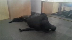 skeleton wearing a wetsuit