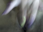 Wet Hairy Pussy 6/16