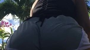 Island Wiggle And Jiggle 