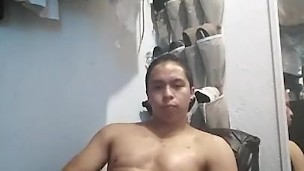 paja rica chacal
