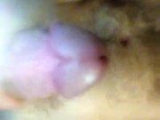 POV big dick fucking you talking dirty