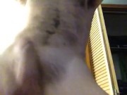 POV big dick striptease blowjob lap dance