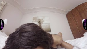 VirtualRealTrans.com - Our anniversary