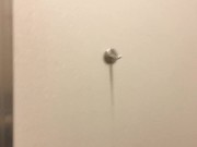 Ginger Banks - Dildo in the Dressing Room 10/16