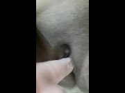 Masturbation with my toy
