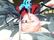 Electro torture my tiny penis feel free to humiliate it