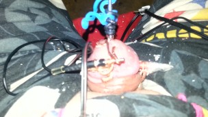 Electro torture my tiny penis feel free to humiliate it