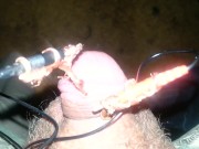 Electro torture my tiny penis feel free to humiliate it