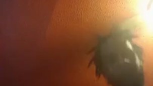 Hurry up and catch this nut baby! Must see!!!