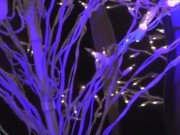 MelRose Christmas dildo riding orgasm 16/16