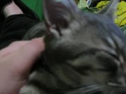 Petting My Sweet  3/16