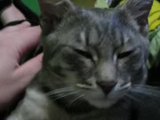 Petting My Sweet  4/16