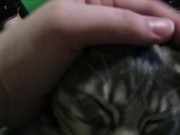 Petting My Sweet  9/16