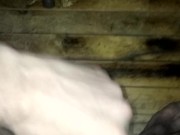 Cumshot - Screenshot 11 of 16 - HD