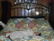 My super creamy stream! (Creamy pussy, Masturbation, Cumming) 10/16