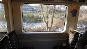Quick Blow Job & Swallow on the Train