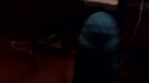 cock sheath fun