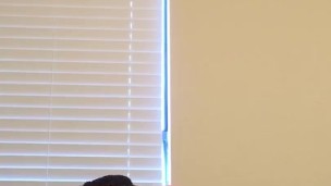 teen tease