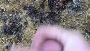 Morning cum