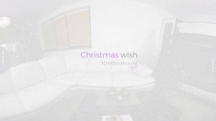 VirtualRealTrans.com - Christmas wish