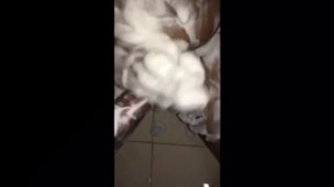 Boy mastrubates covered in foam and licks his tasty cum 