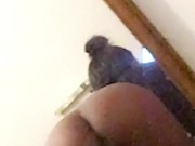 Booty Tease - Screenshot 2 of 16 - Sexy