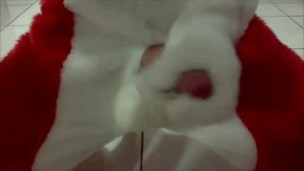 Furry fox plays and cum