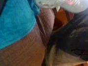 ROYALTY GETS HER A WORKOUT PARTNER!! 6/16