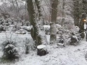 Winter is coming! - Screenshot 11 of 16 - Outside