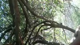 Me Getting Naked in the Park