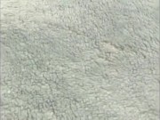 Twinn Flame Ebony Couple #Loyalty and Royalty!! Live Cam Show!! PT.#1 15/16