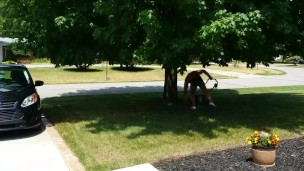 Mowing the lawn in short shorts