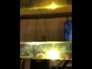 ooo! My Ass! Is Horny! 12/16