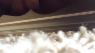 Hard squirt